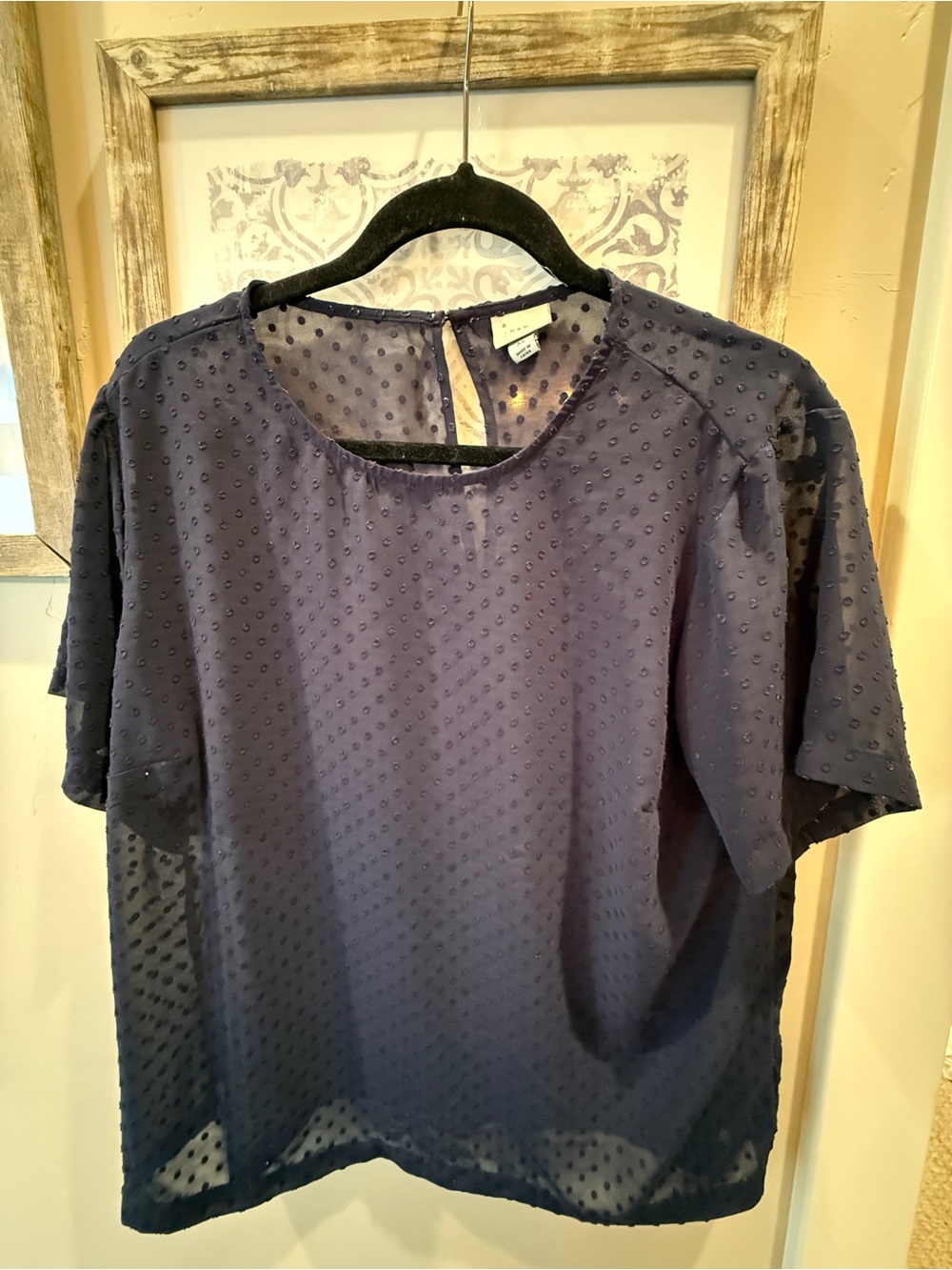 Women’s Sheer Navy Textured Dot Short-Sleeve Blouse